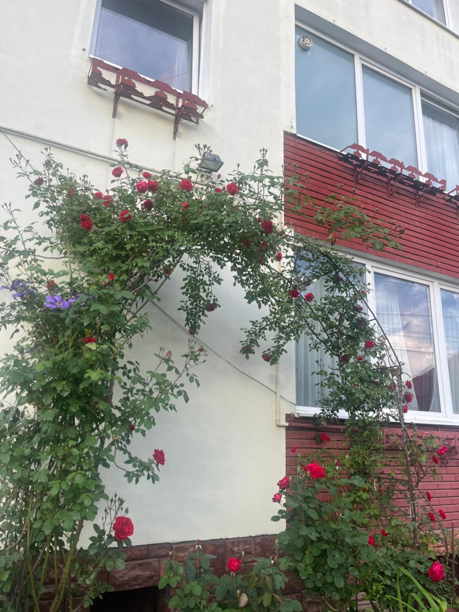 Casa Conti Sibiu Exterior foto