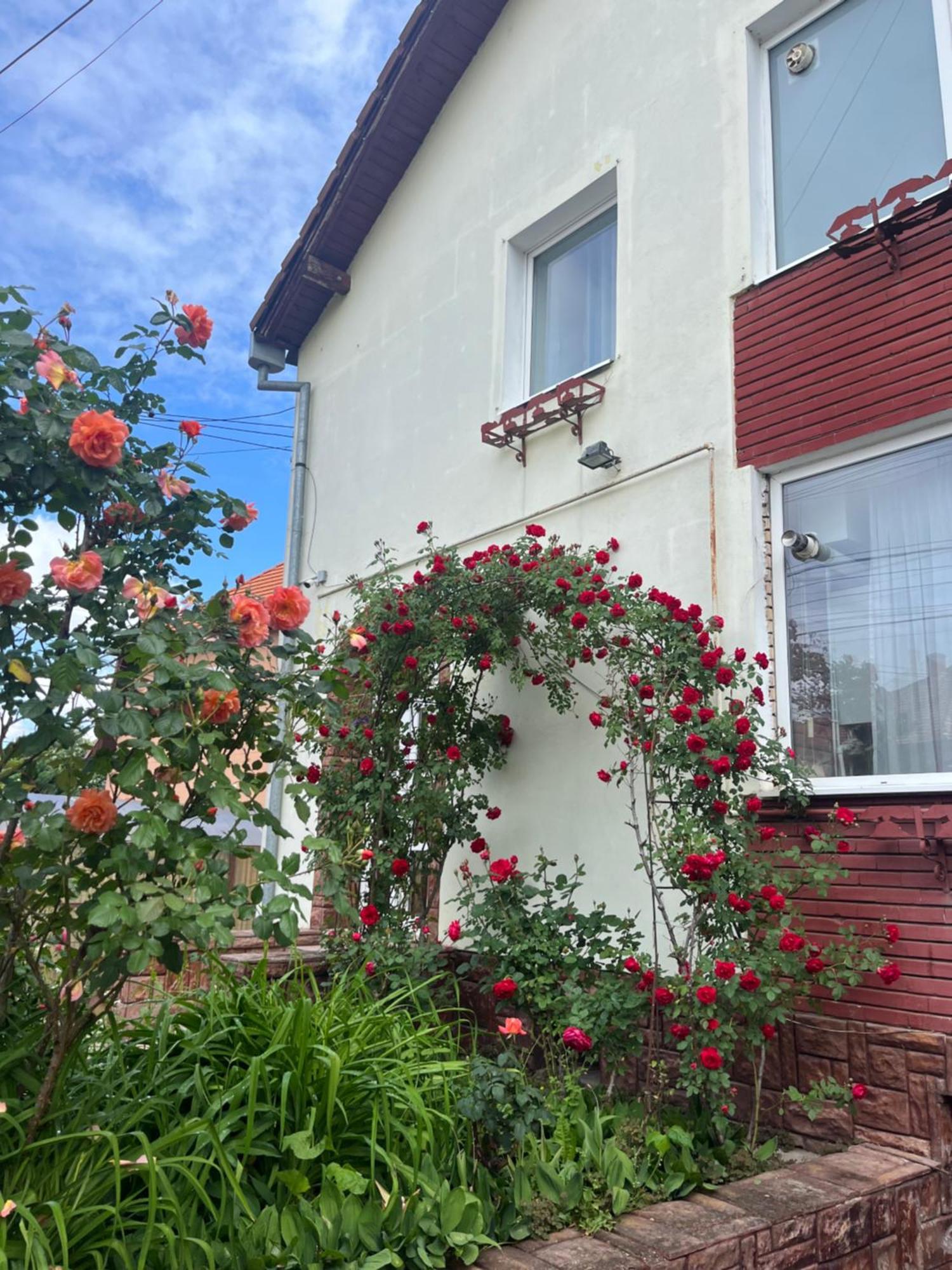 Casa Conti Sibiu Exterior foto